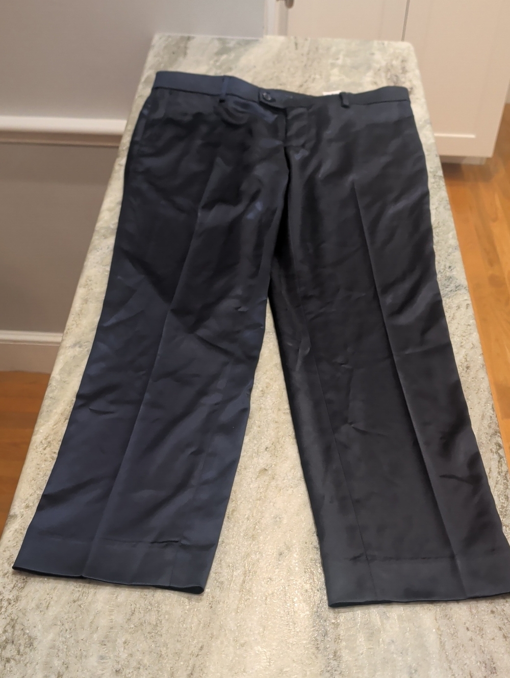 Egara Men's Dark Navy Dress Pants